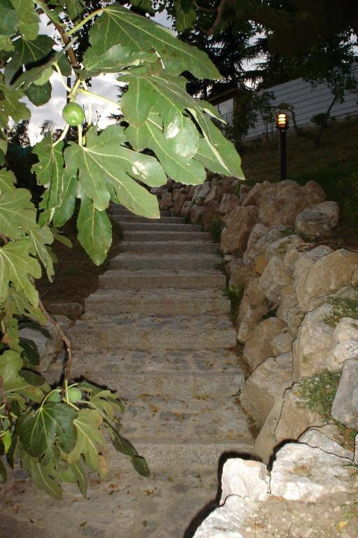 B&B Alla Bonacina Malnago エクステリア 写真
